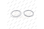 Комплект уплотнительных колец (11шт.)*