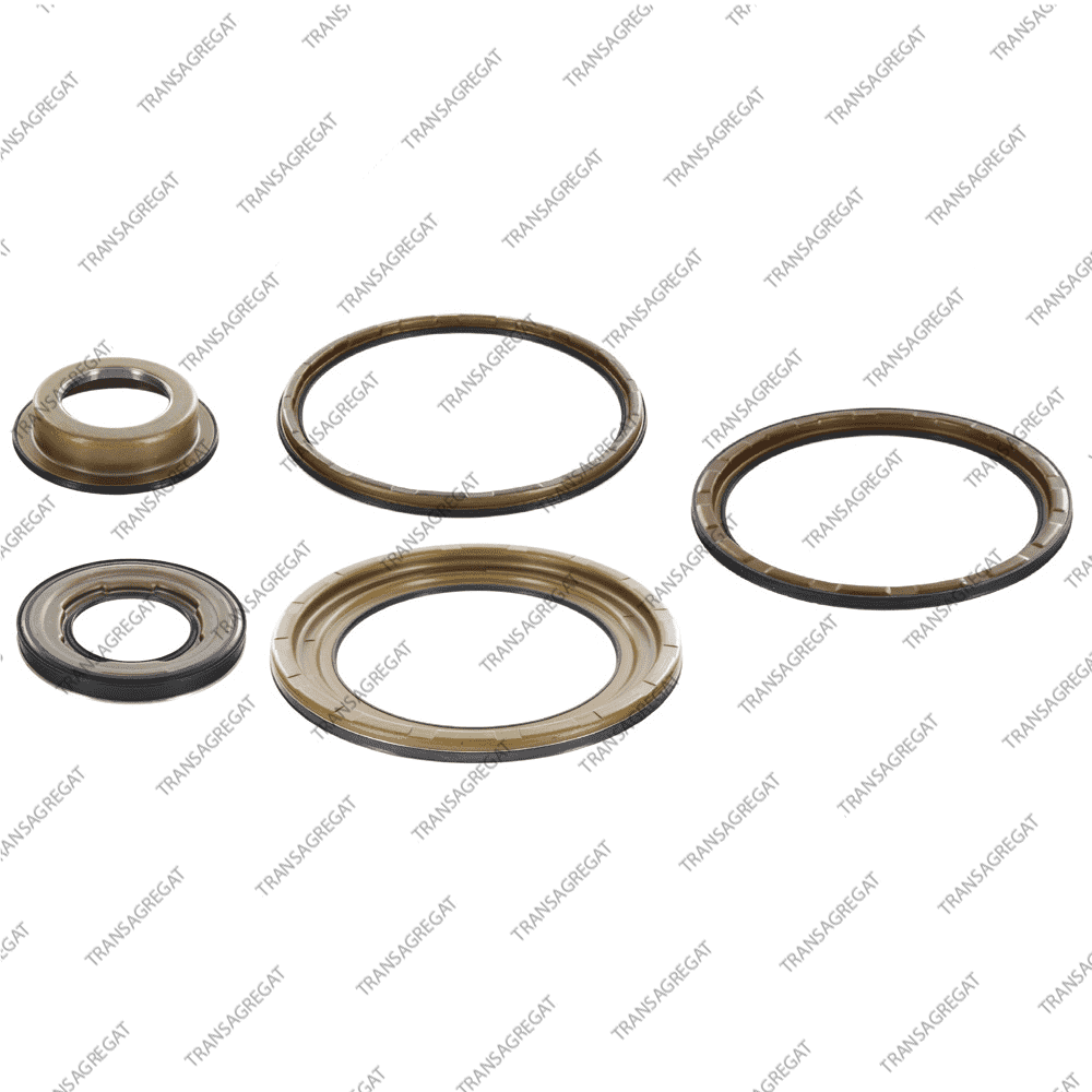 Комплект поршней (5шт., обрезиненные)