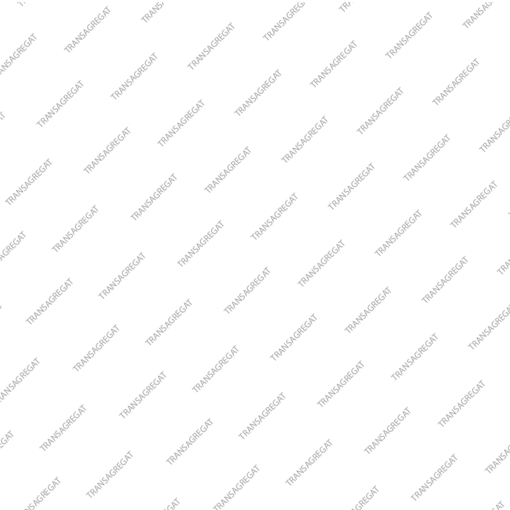 Фильтр основной (тип 1, пластиковый)