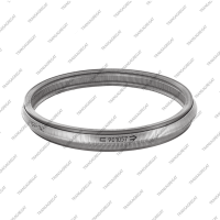 Ремень вариатора (#901057*/901097, F6, по 9 соединительных лент)